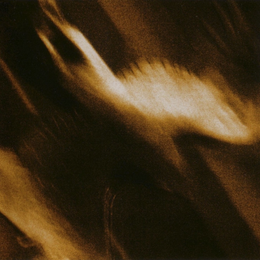 Agalloch — Limbs cover artwork