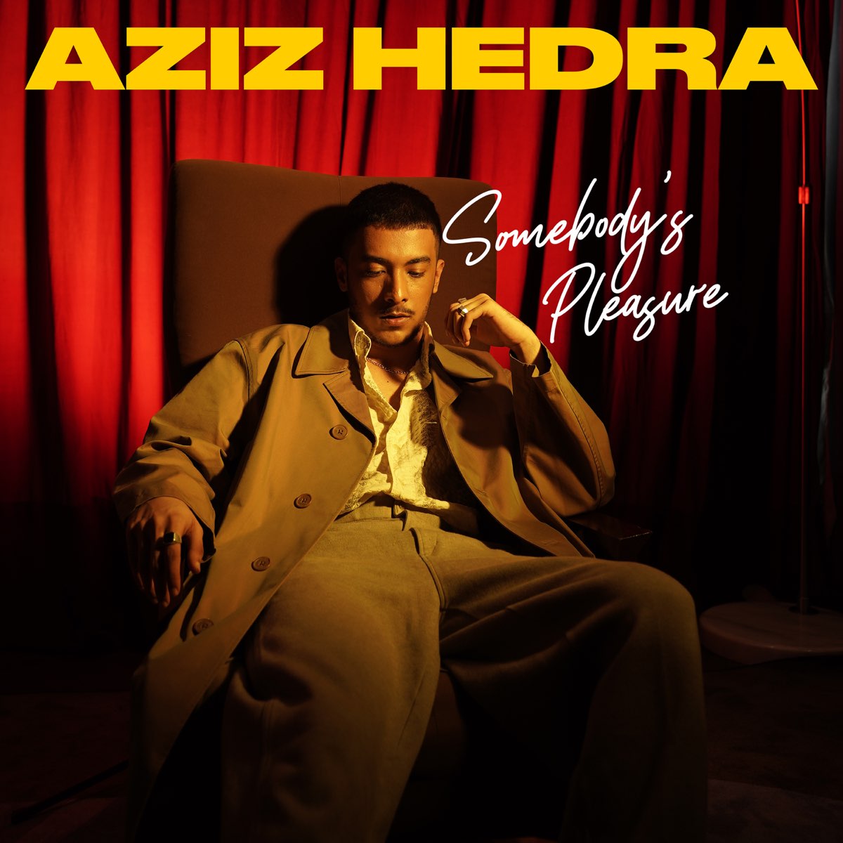 Aziz Hedra — Somebody's Pleasure cover artwork