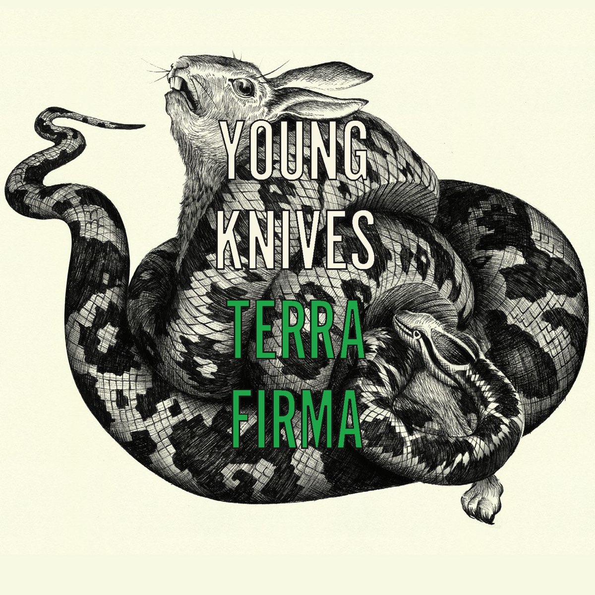 The Young Knives — Terra Firma cover artwork