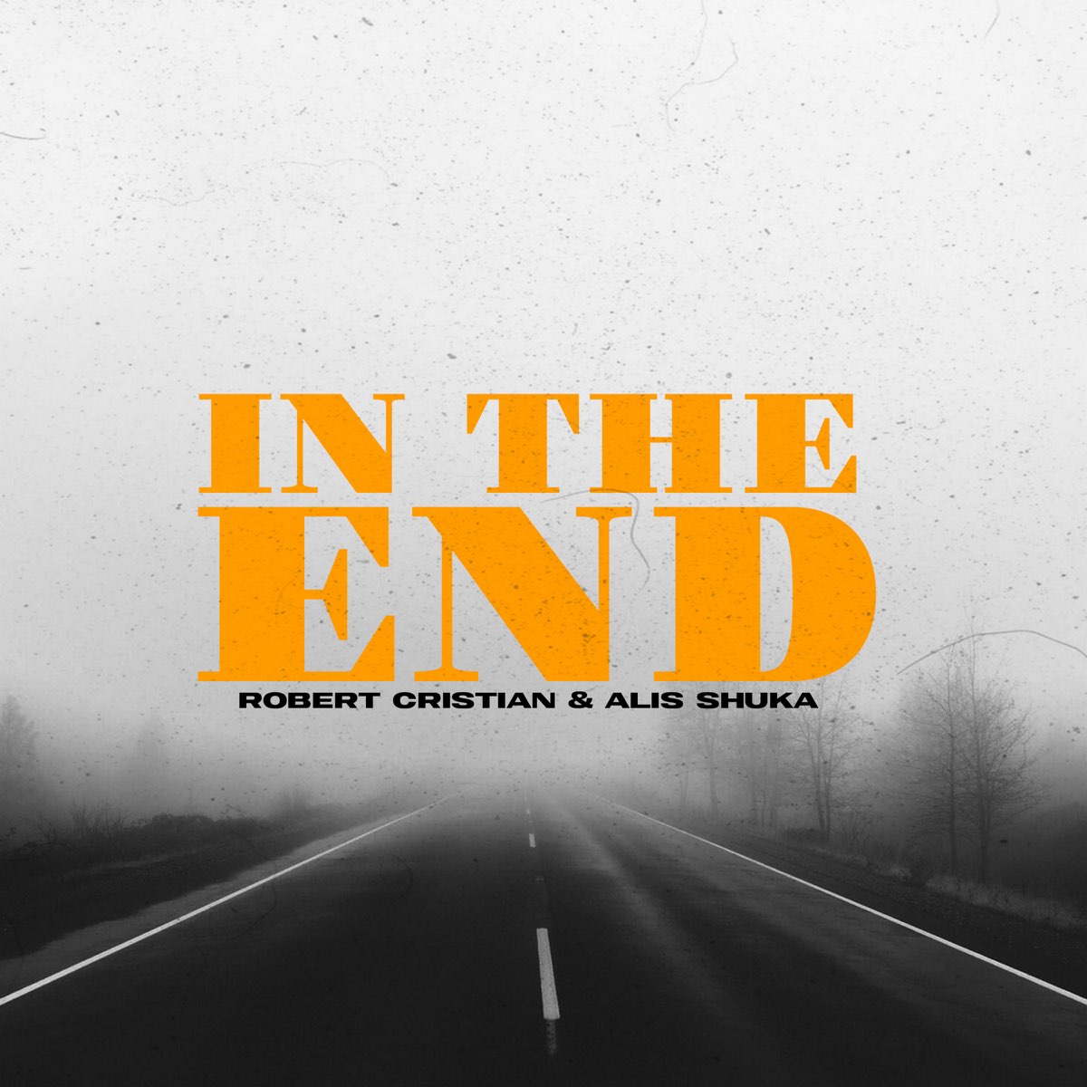 Robert Cristian & Alis Shuka — In The End cover artwork
