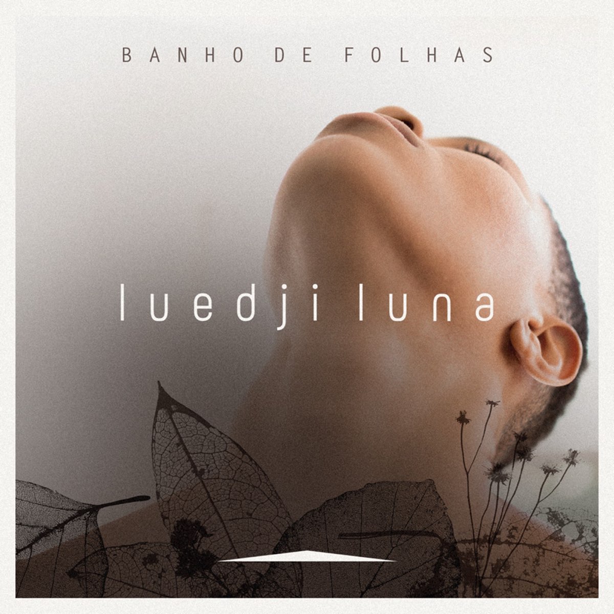 Luedji Luna Banho de Folhas cover artwork