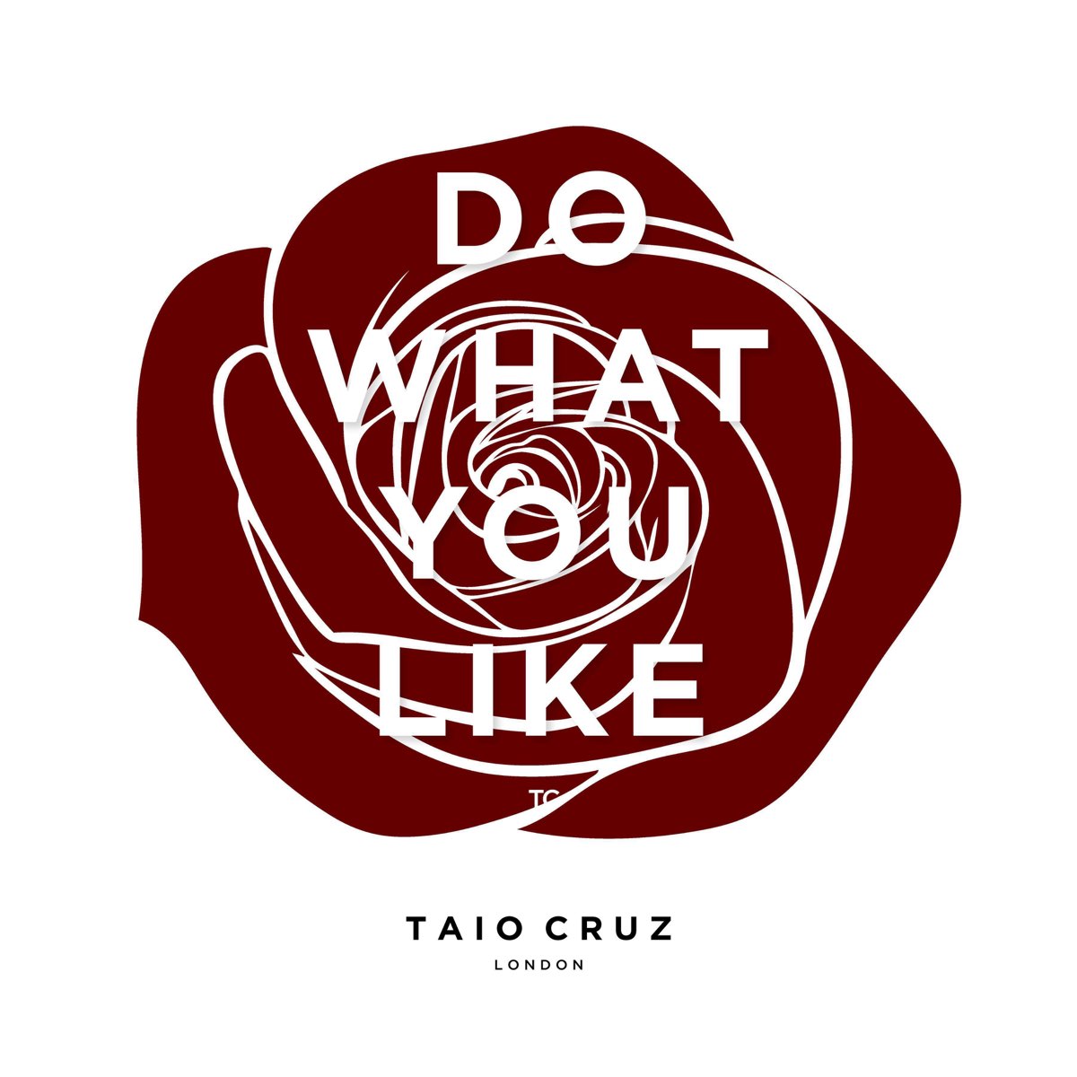 Taio Cruz — Do What You Like cover artwork