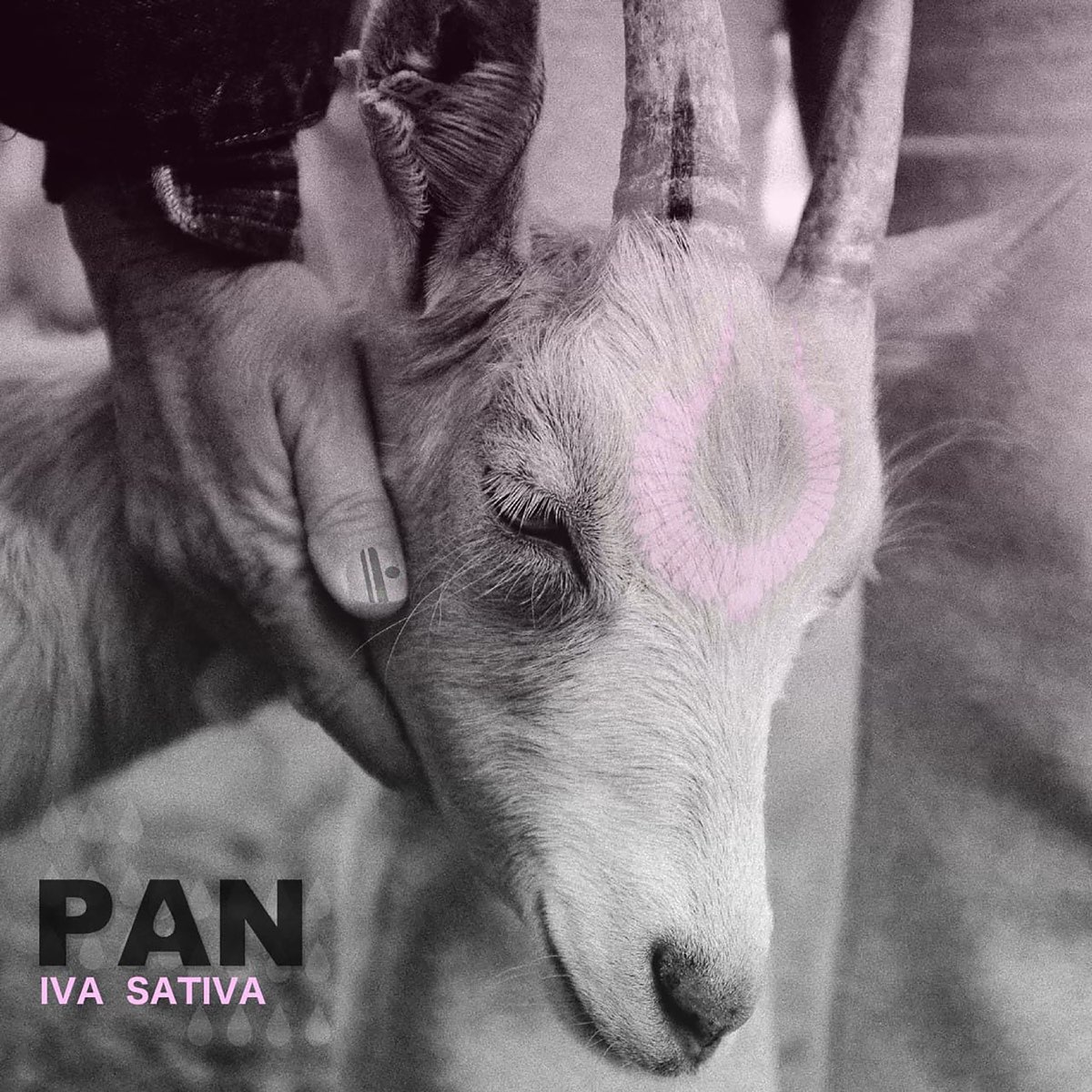 Ina Sativa — Pan cover artwork