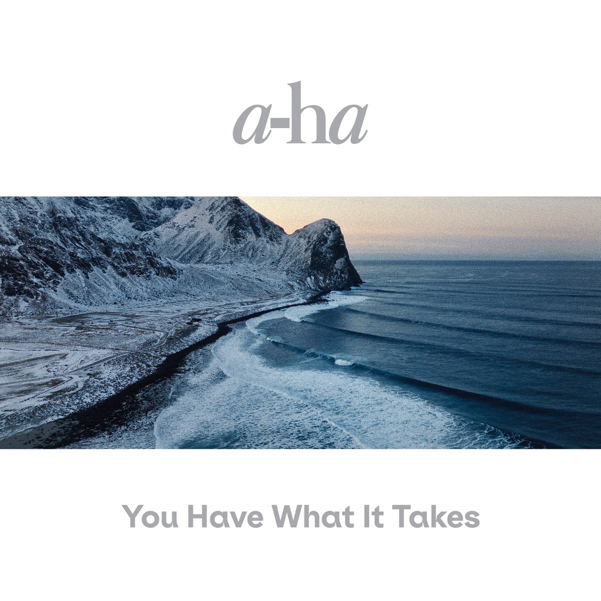 a-ha — You Have What It Takes cover artwork