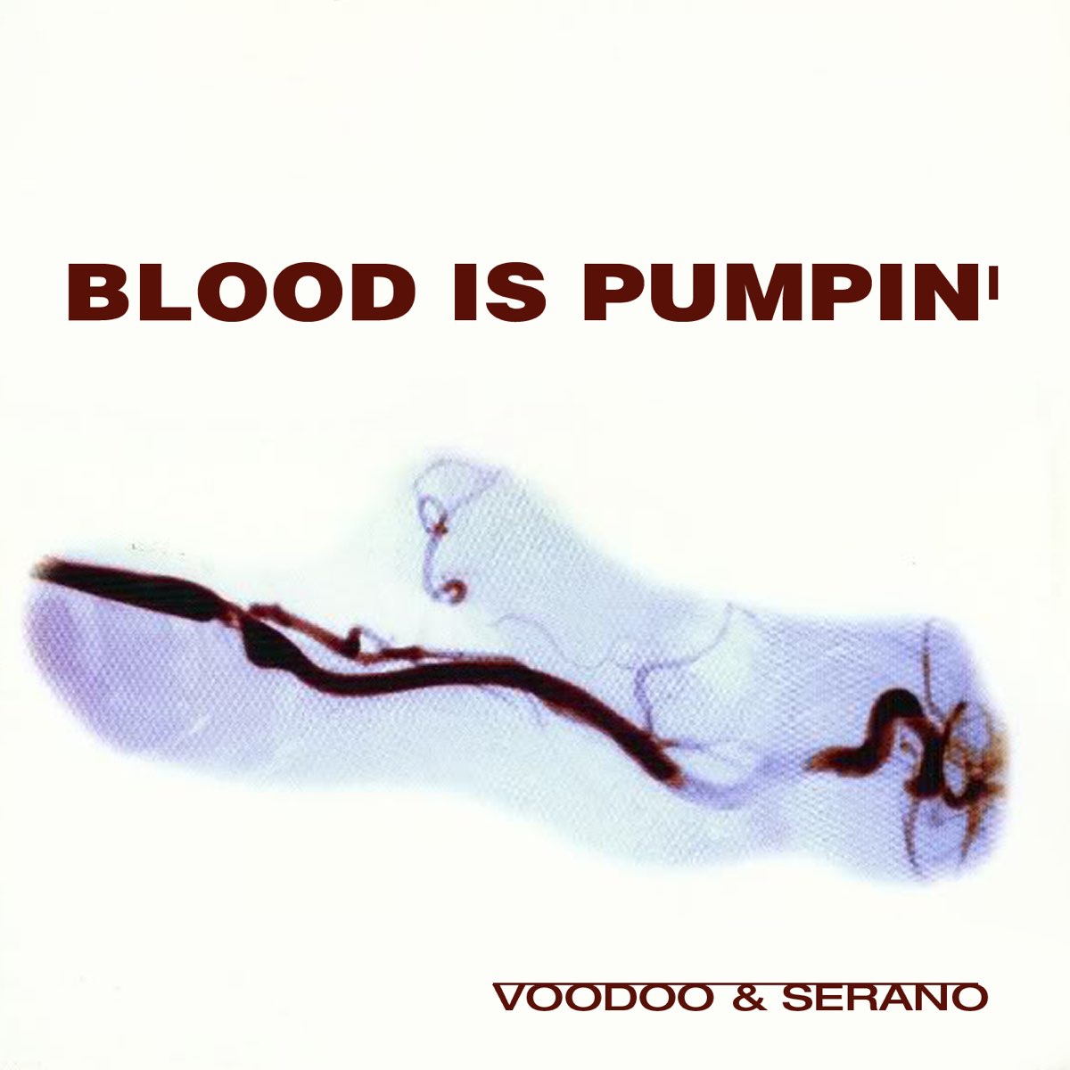 VooDoo &amp; Serano — Blood Is Pumpin&#039; cover artwork
