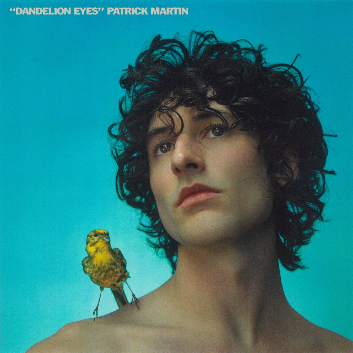 Patrick Martin Dandelion Eyes cover artwork
