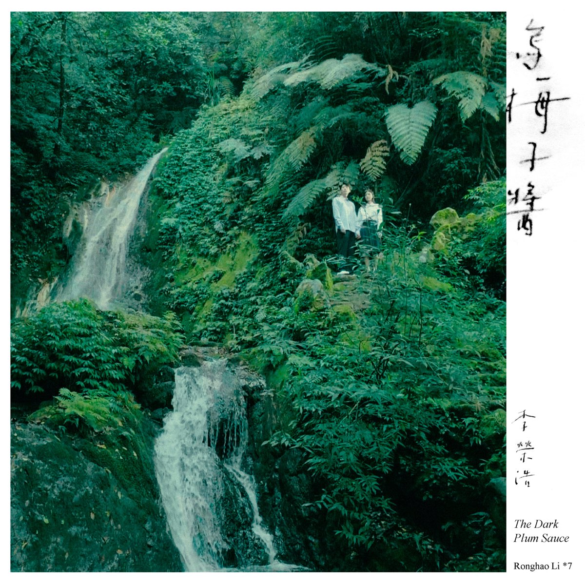 Ronghao lI — The Dark Plum Sauce cover artwork