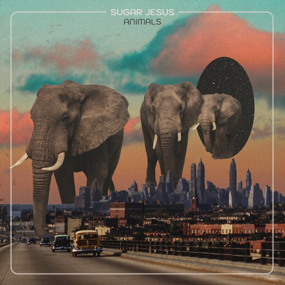 Sugar Jesus featuring Alexandra Willa Milner — Animals cover artwork