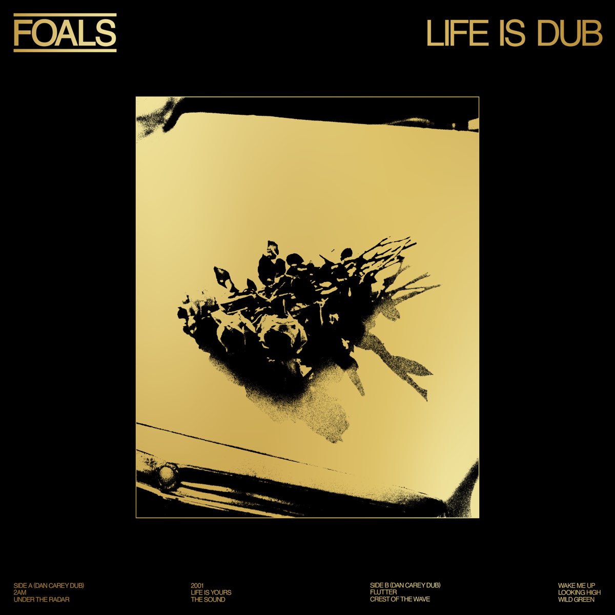 Foals Life is Dub cover artwork