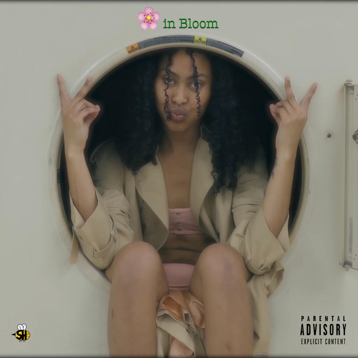 Flower In Bloom — Just Sayin&#039; Shit cover artwork