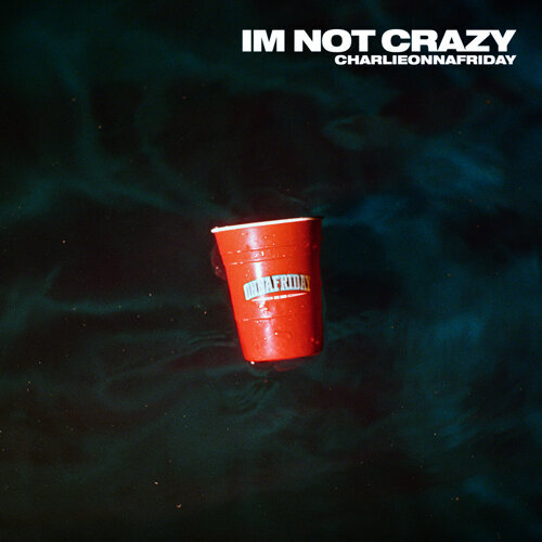charlieonnafriday — I&#039;m Not Crazy cover artwork