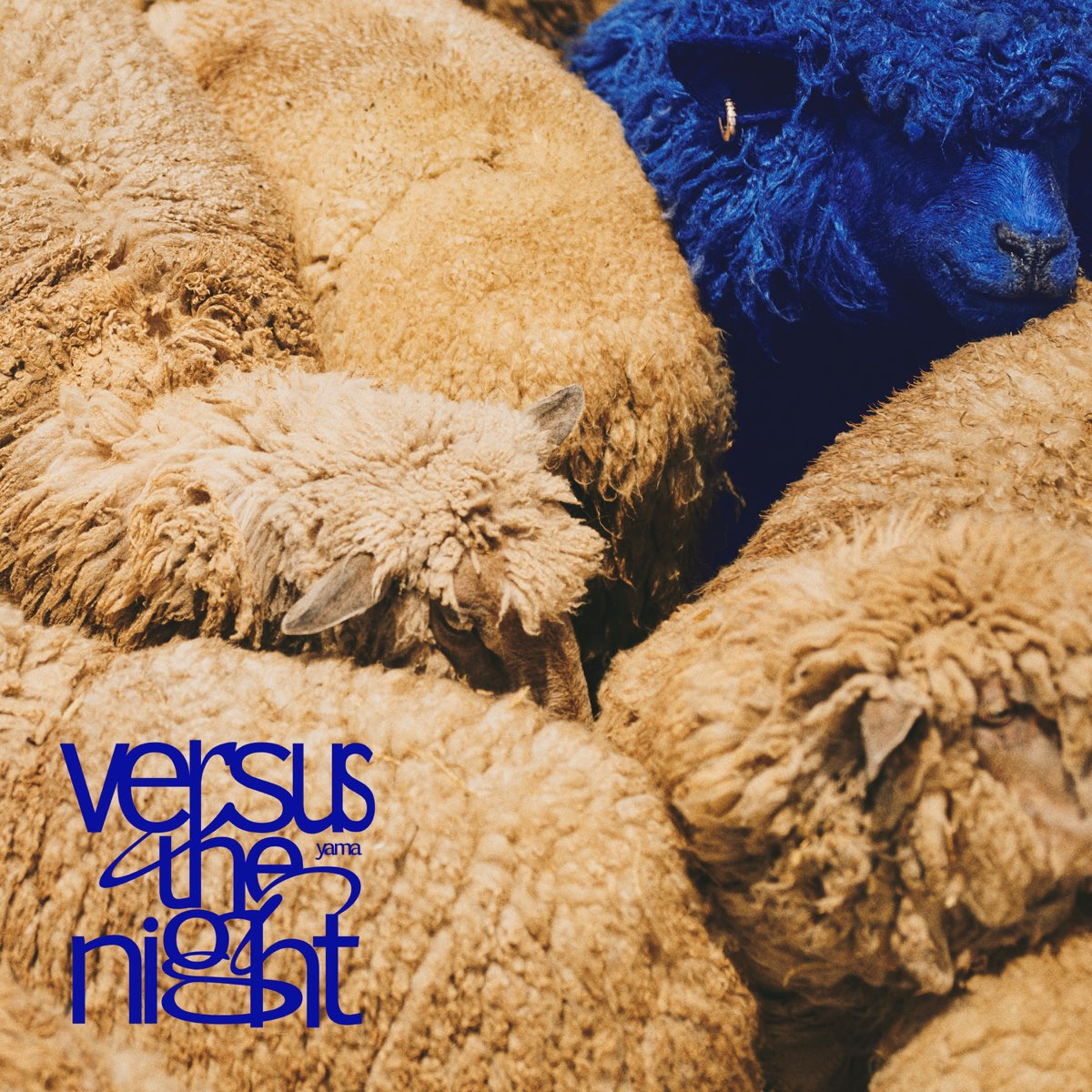 yama Versus the night cover artwork