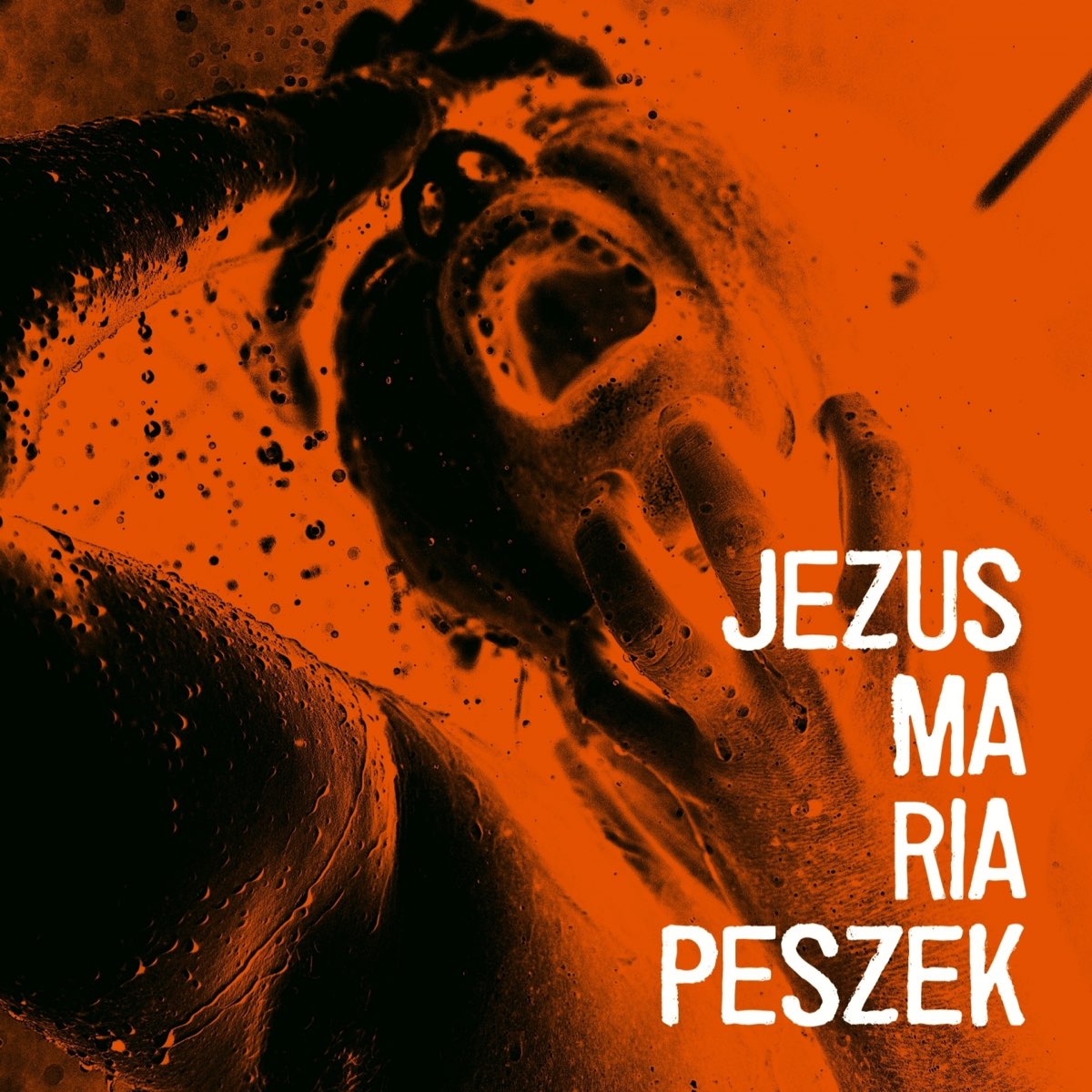 Maria Peszek Jezus Maria Peszek cover artwork
