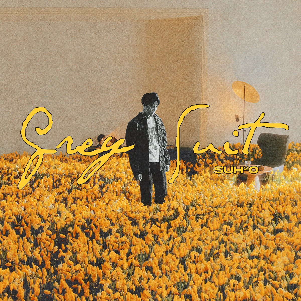 SUHO — Decanting cover artwork