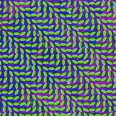 Animal Collective — In The Flowers cover artwork