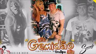Forró Sacode featuring Tirullipa — Gemidão cover artwork