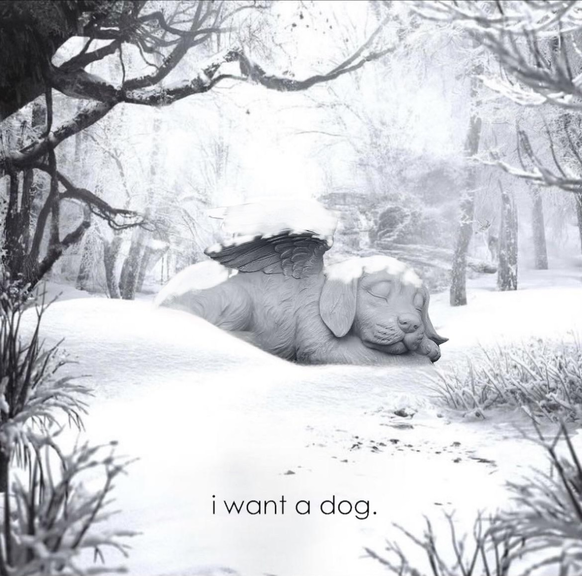 Weezer — I Want A Dog cover artwork