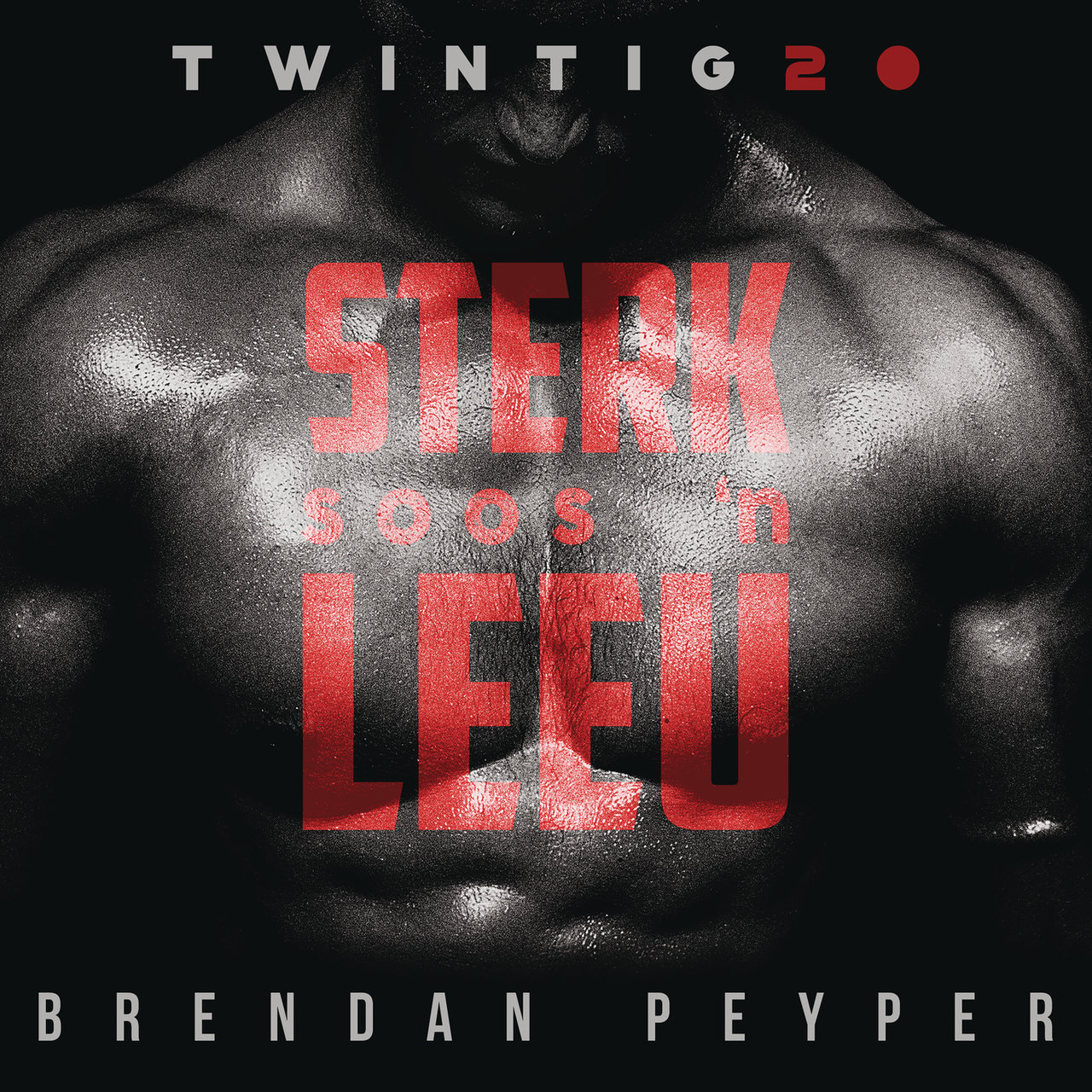 Brendan Peyper — Sterk Soos &#039;n Leeu cover artwork