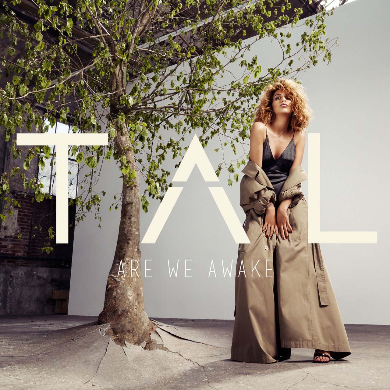 TAL — Are We Awake cover artwork
