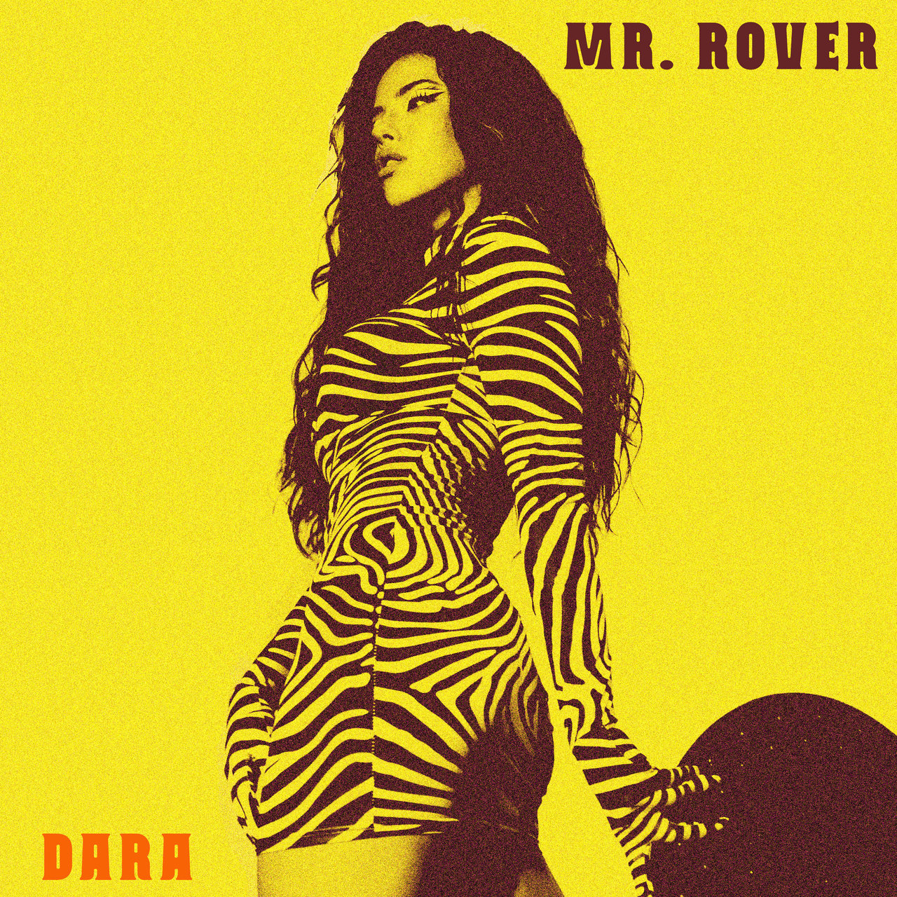 DARA Mr. Rover cover artwork