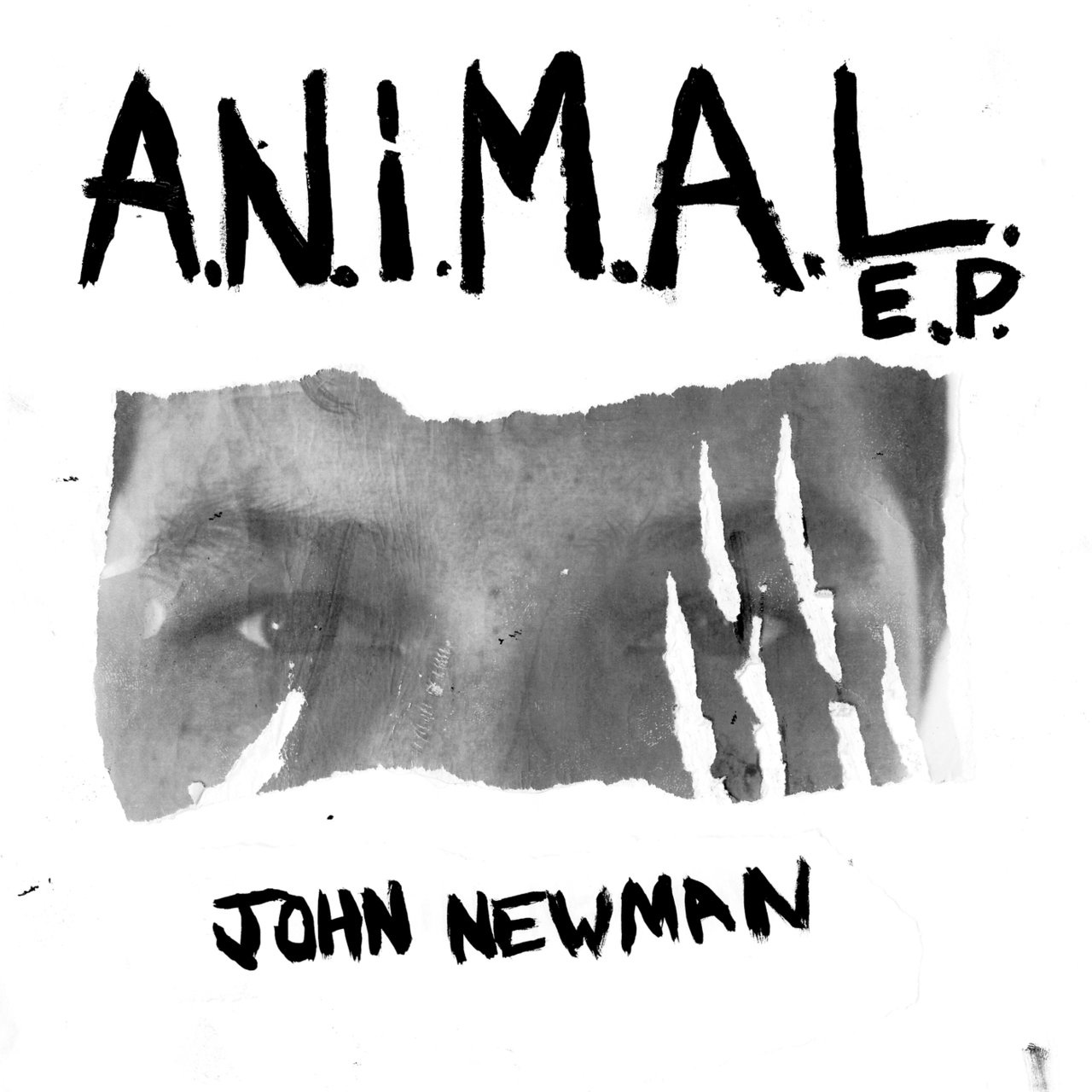 John Newman A.N.i.M.A.L cover artwork