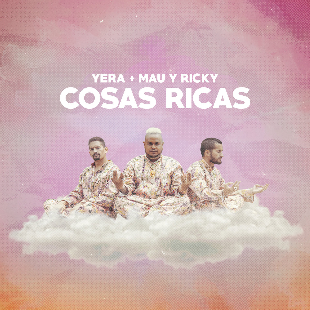 Yera & Mau y Ricky Cosas Ricas cover artwork