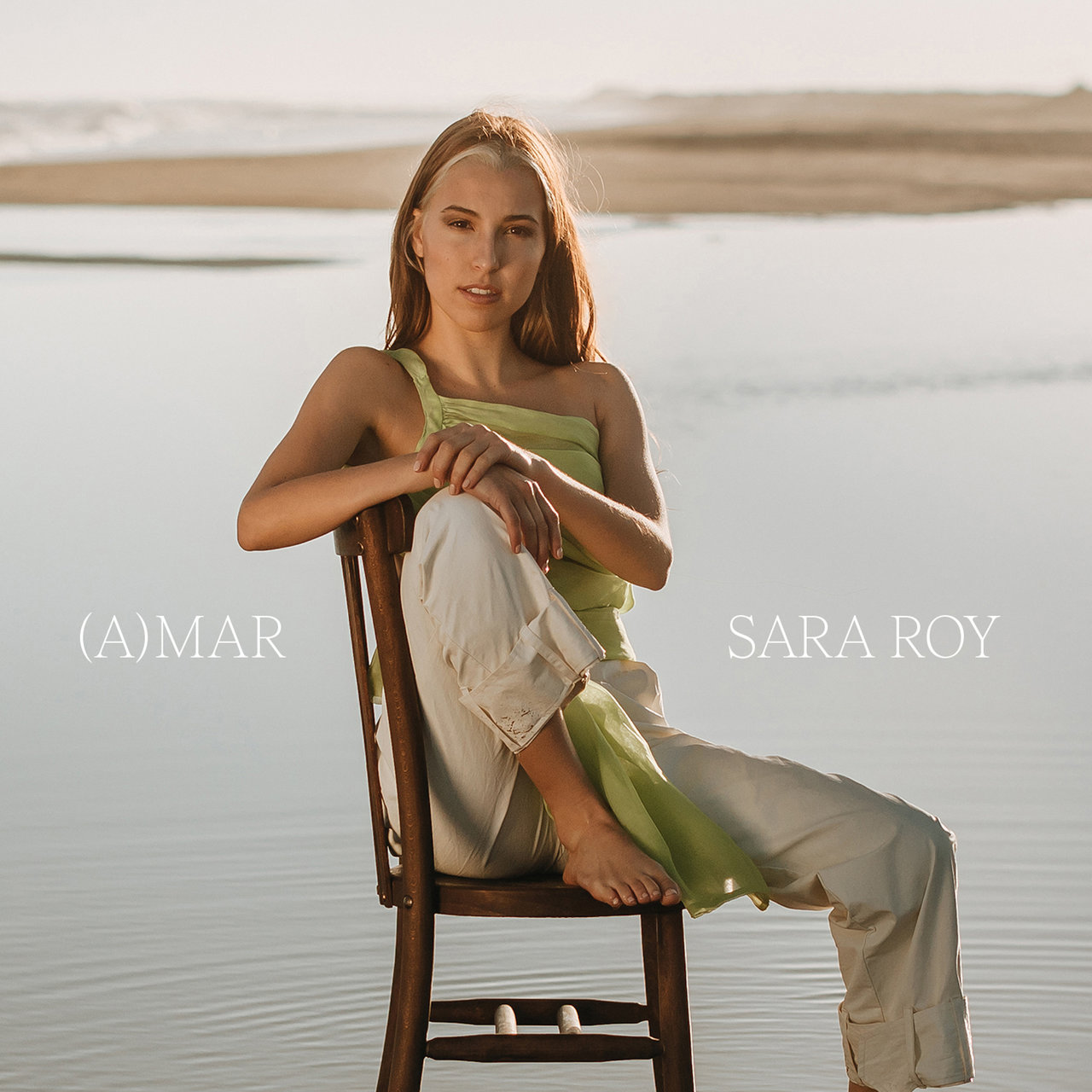 Sara Roy — (A)MAR cover artwork