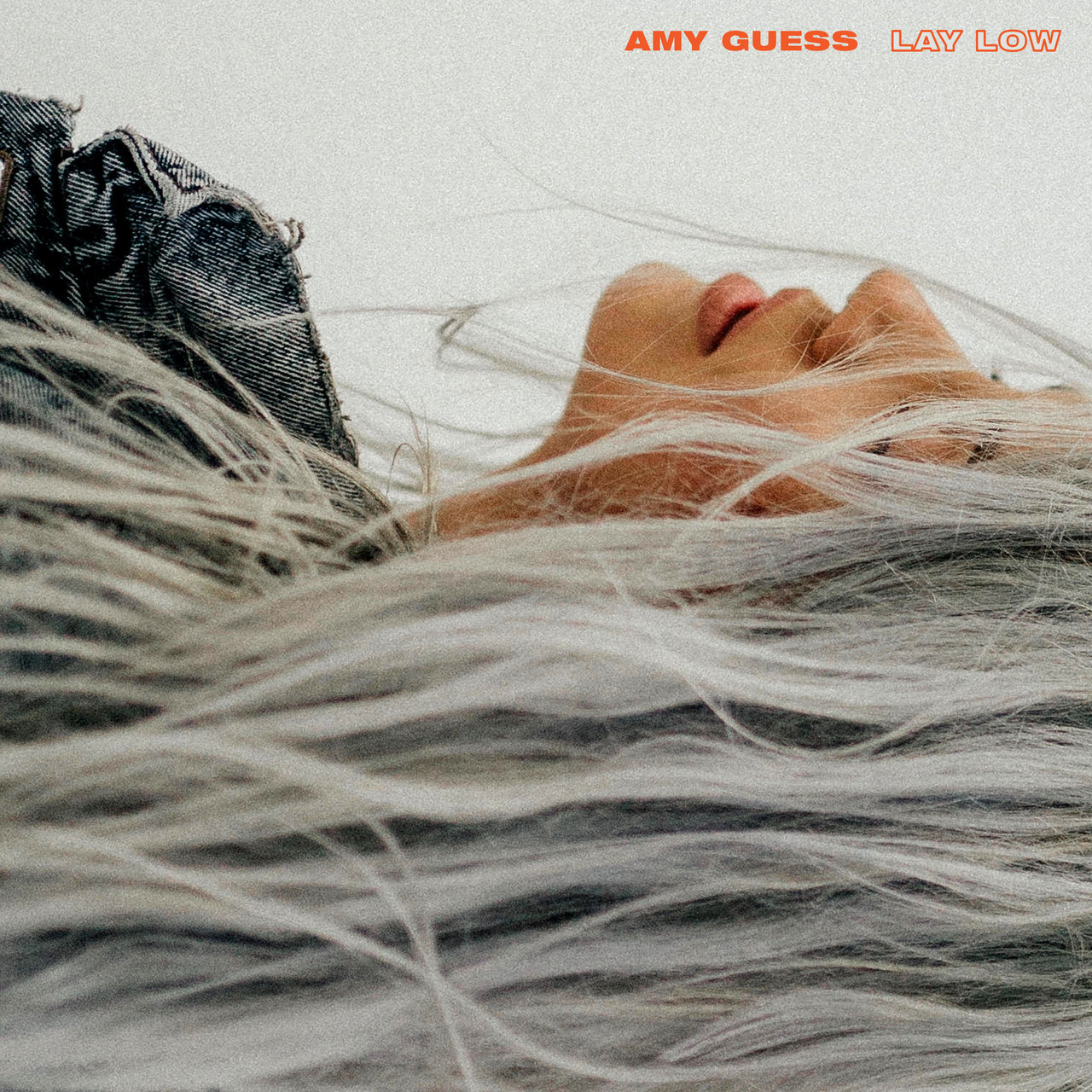 Amy Guess — Lay Low cover artwork