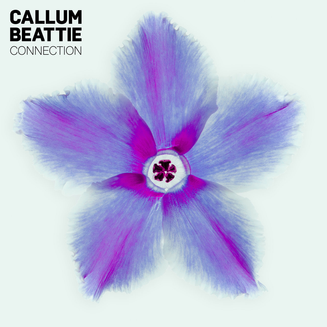 Callum Beattie — Connection cover artwork
