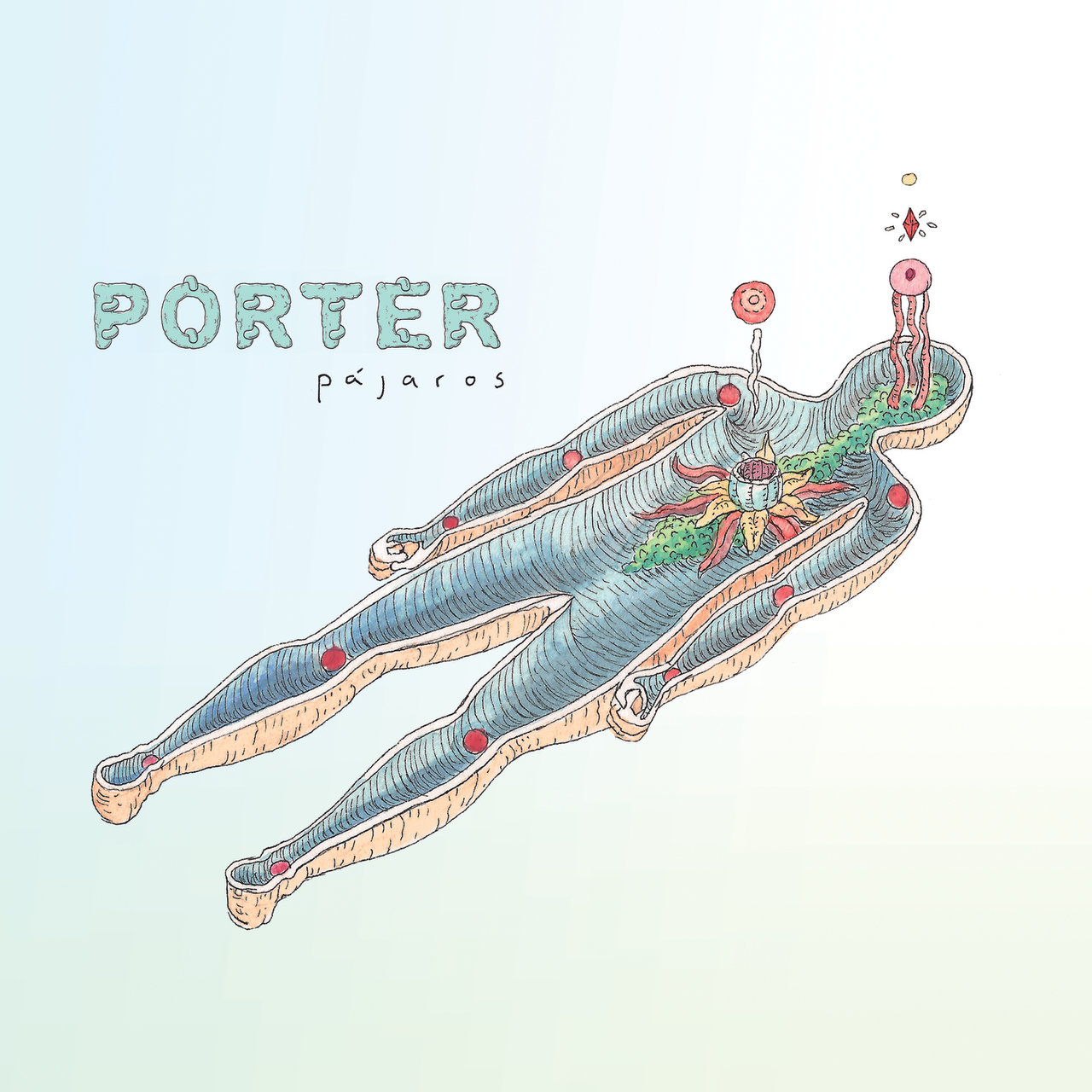 Porter — Pájaros cover artwork