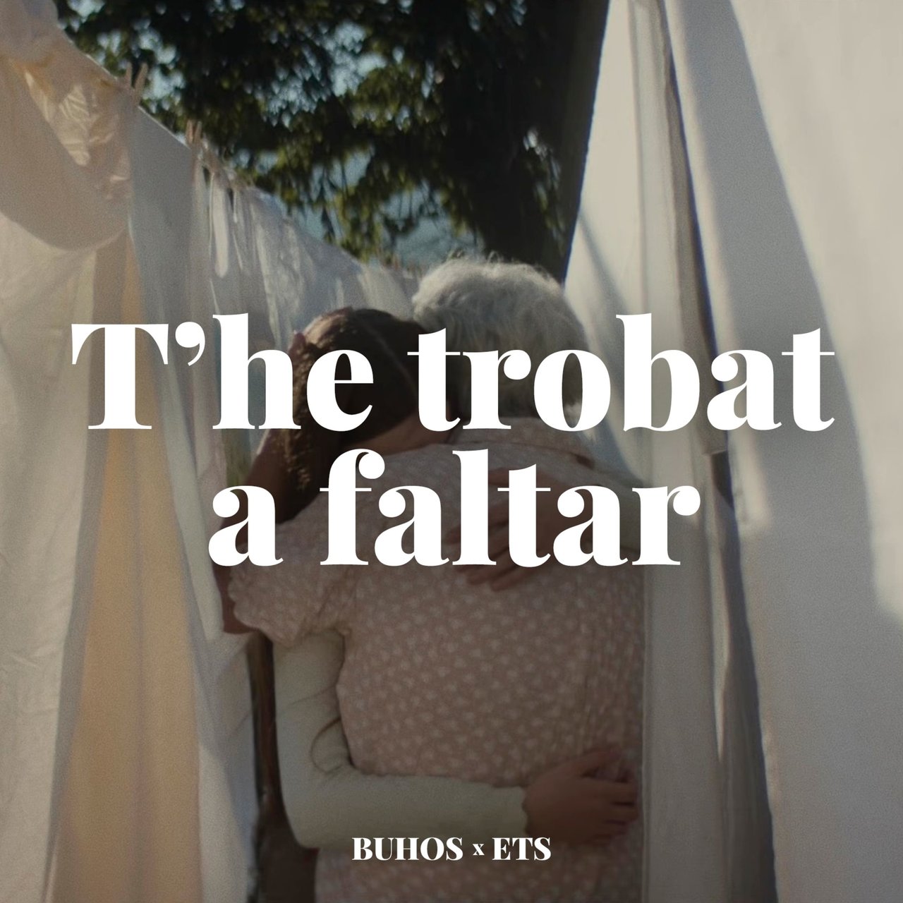 Buhos & En Tol Sarmiento — T&#039;he Trobat a Faltar cover artwork