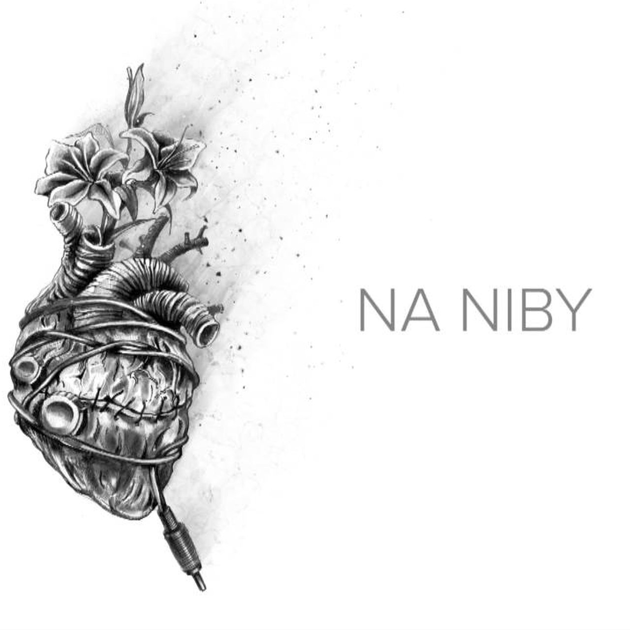 Arek Kłusowski — Na niby cover artwork