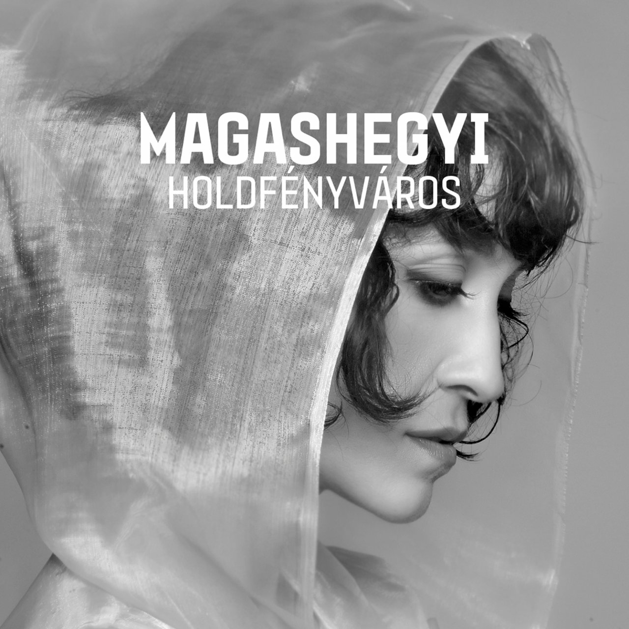 Magashegyi Underground — Holdfényváros cover artwork