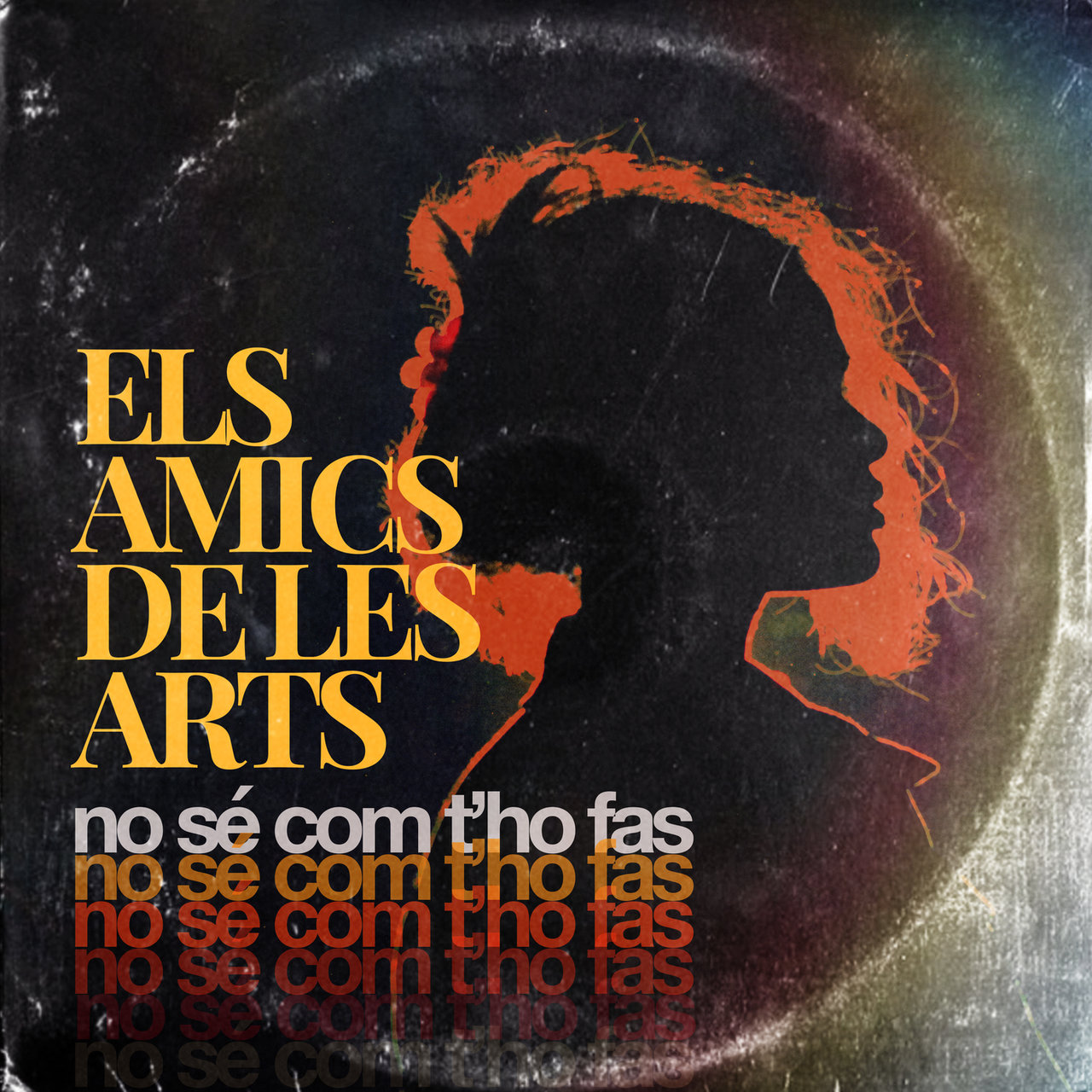 Els Amics de les Arts No Sé Com T&#039;ho Fas cover artwork