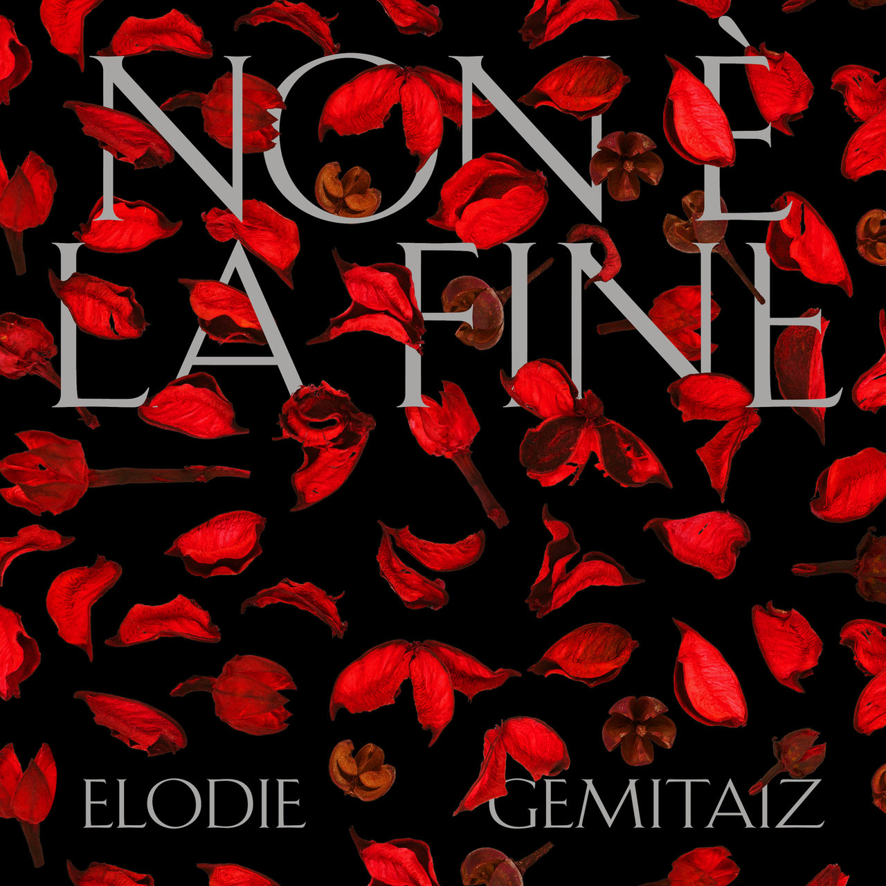 Elodie featuring Gemitaiz — Non È La Fine cover artwork