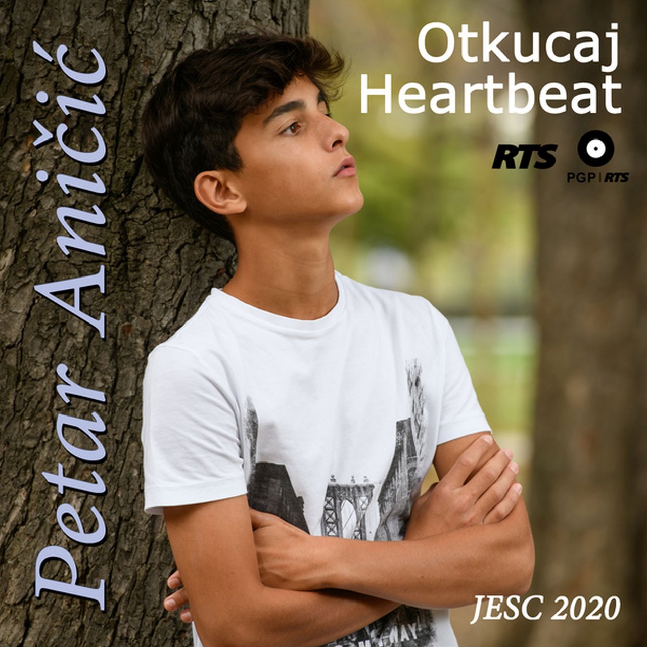 Petar Aničić — Heartbeat cover artwork
