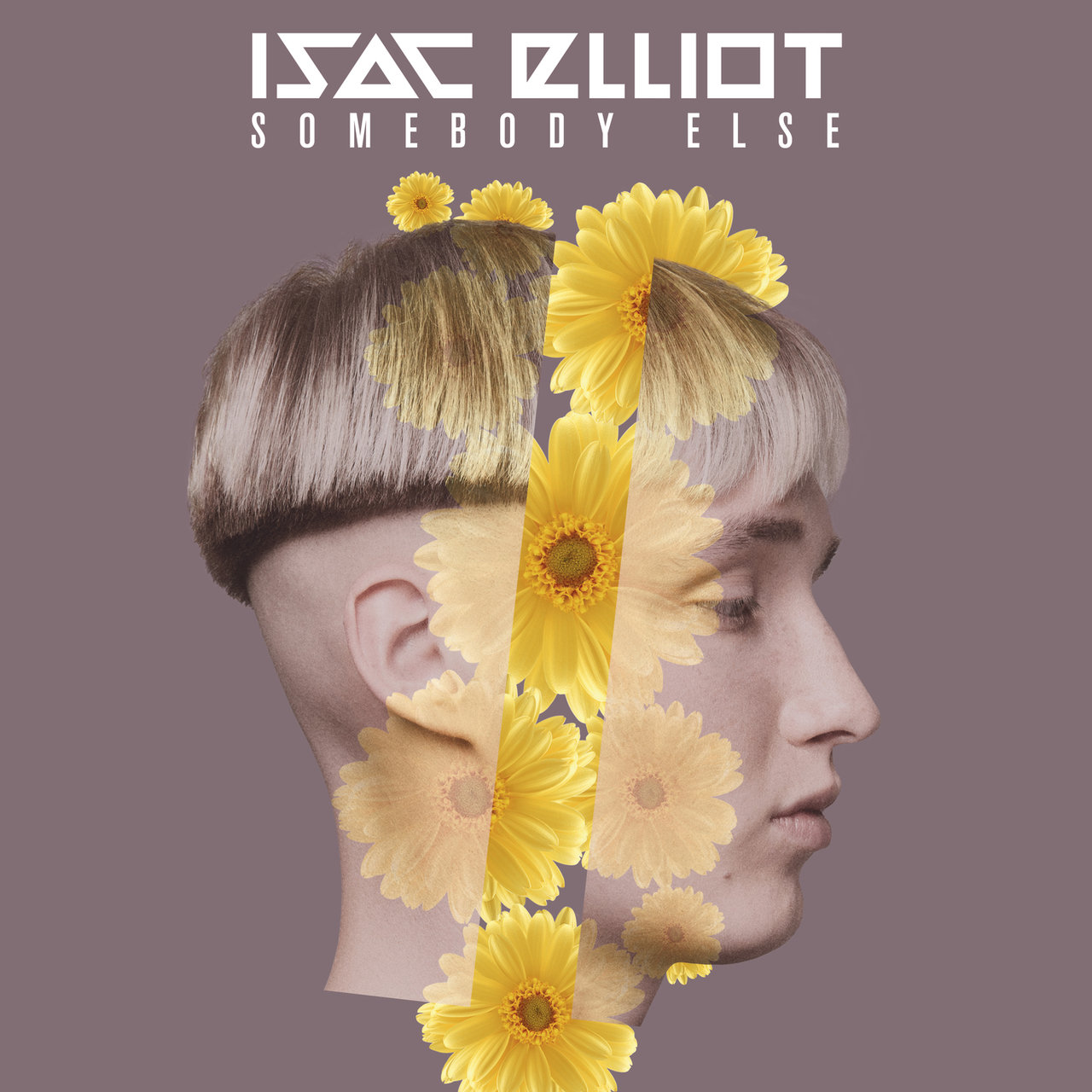 Isac Elliot — Somebody Else cover artwork