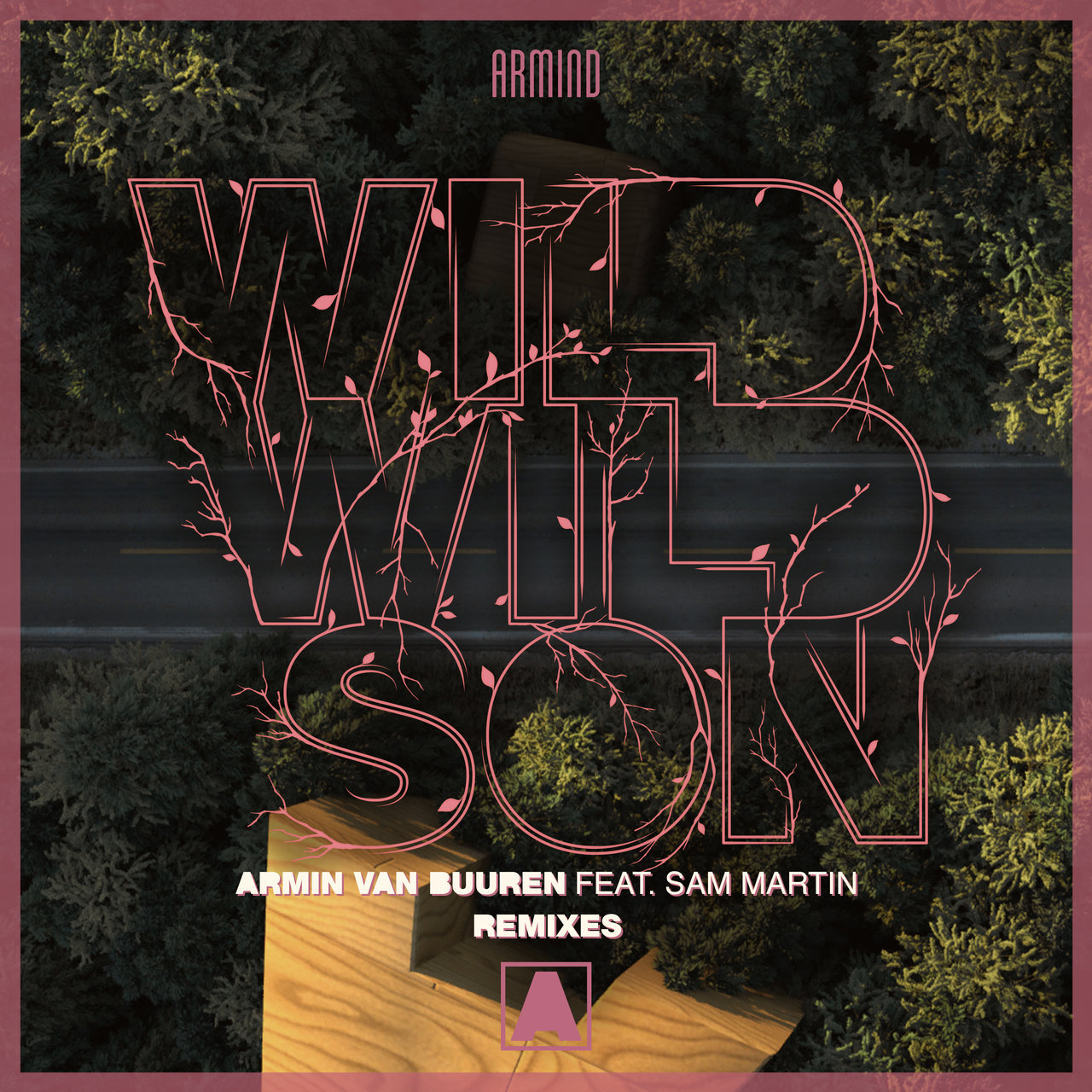 Armin van Buuren featuring Sam Martin — Wild Wild Son (Richard Durand Remix) cover artwork