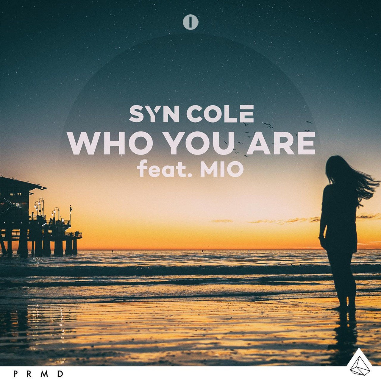 Syn Cole ft. featuring Mio Who You Are cover artwork