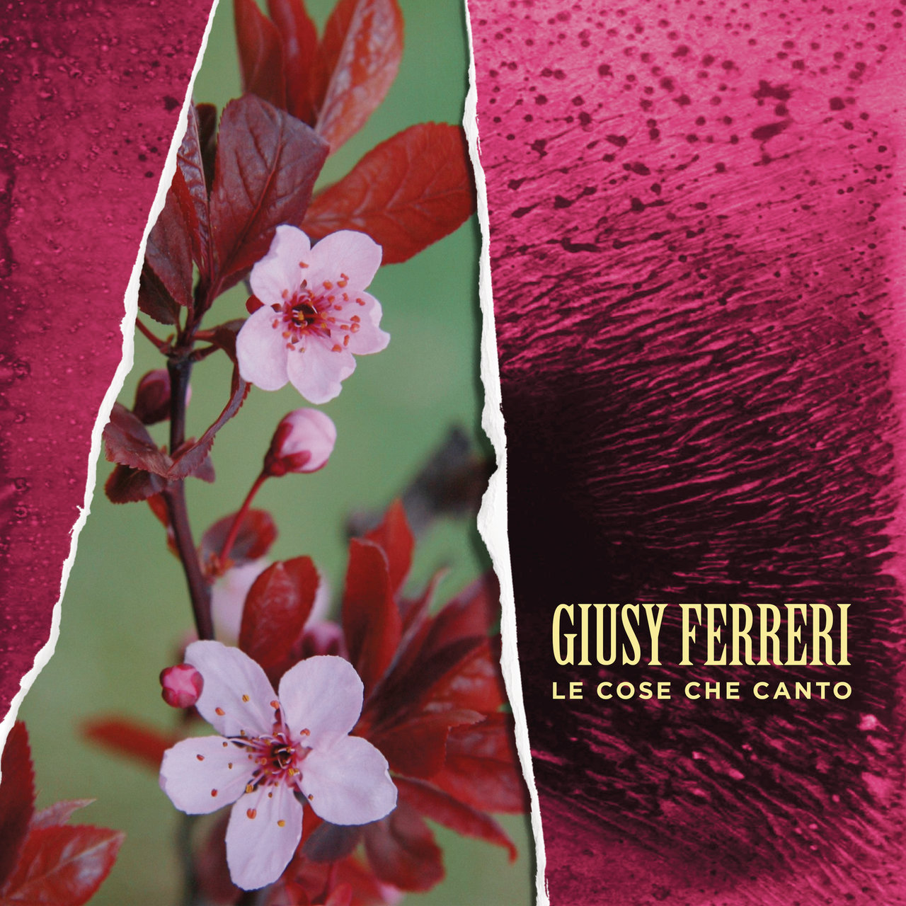 Giusy Ferreri — Le cose che canto cover artwork