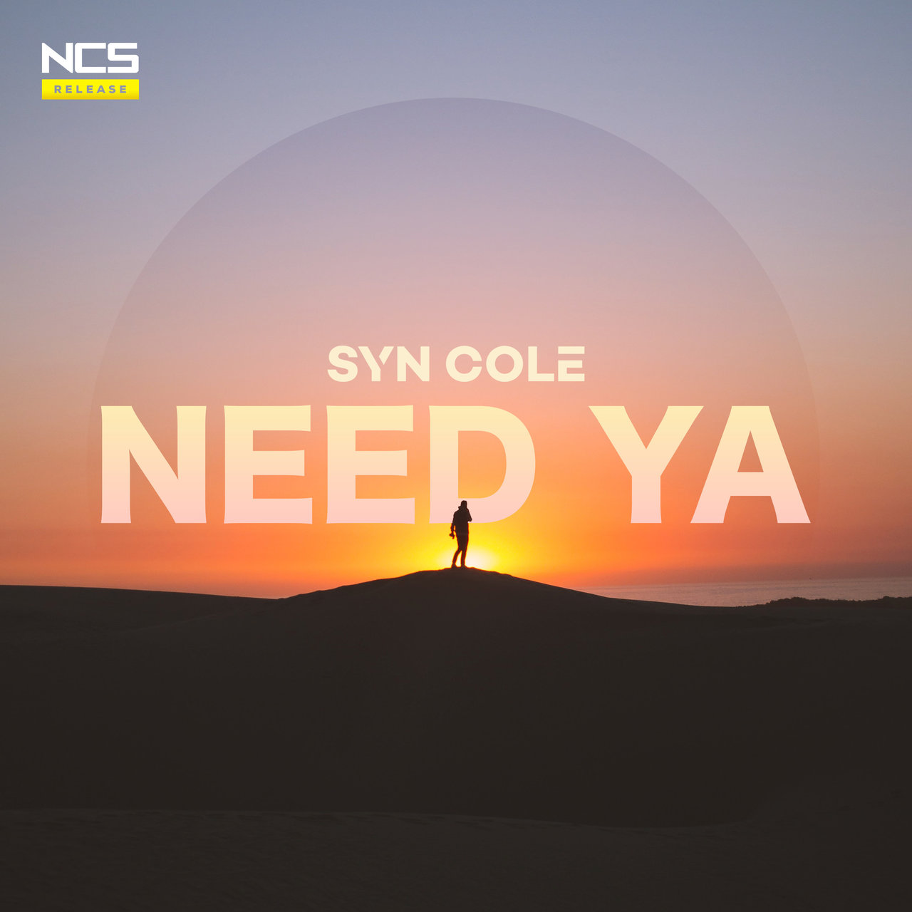 Syn Cole — Need Ya cover artwork