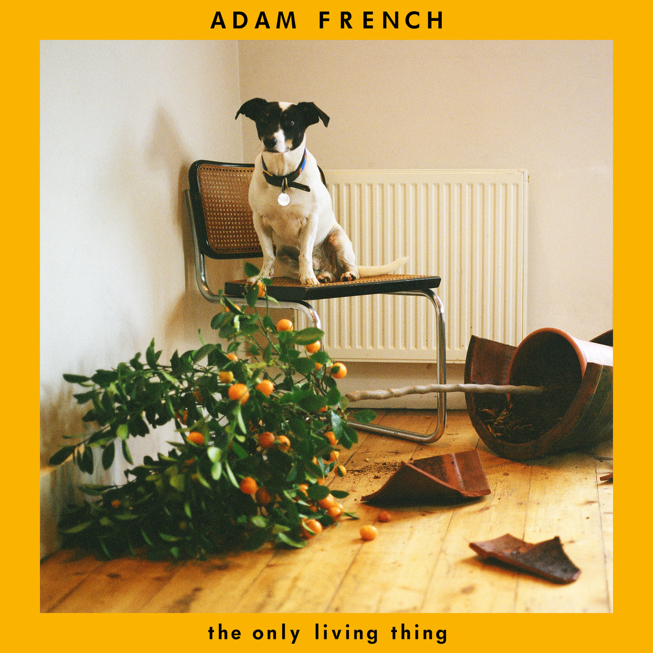 Adam French The Only Living Thing cover artwork