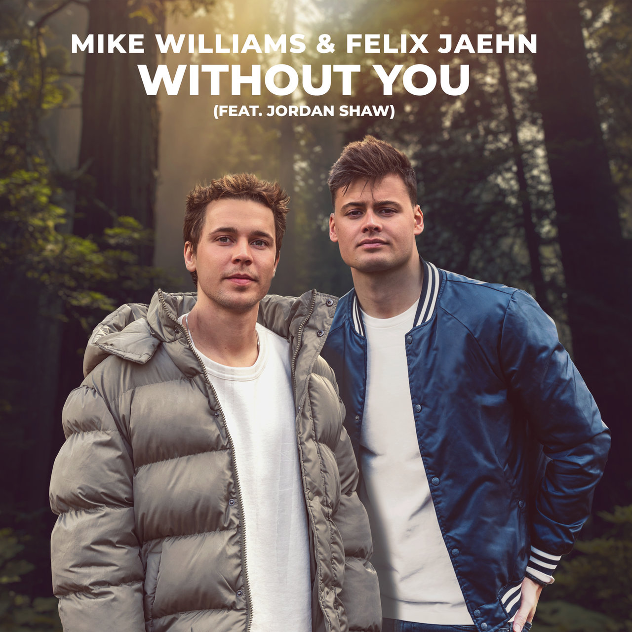 Mike Williams & Felix Jaehn ft. featuring Jordan Shaw Without You cover artwork