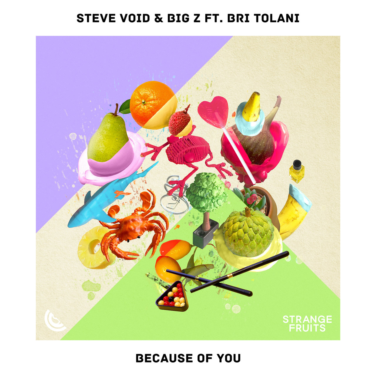 Steve Void & Big Z featuring Bri Tolani — Because Of You cover artwork