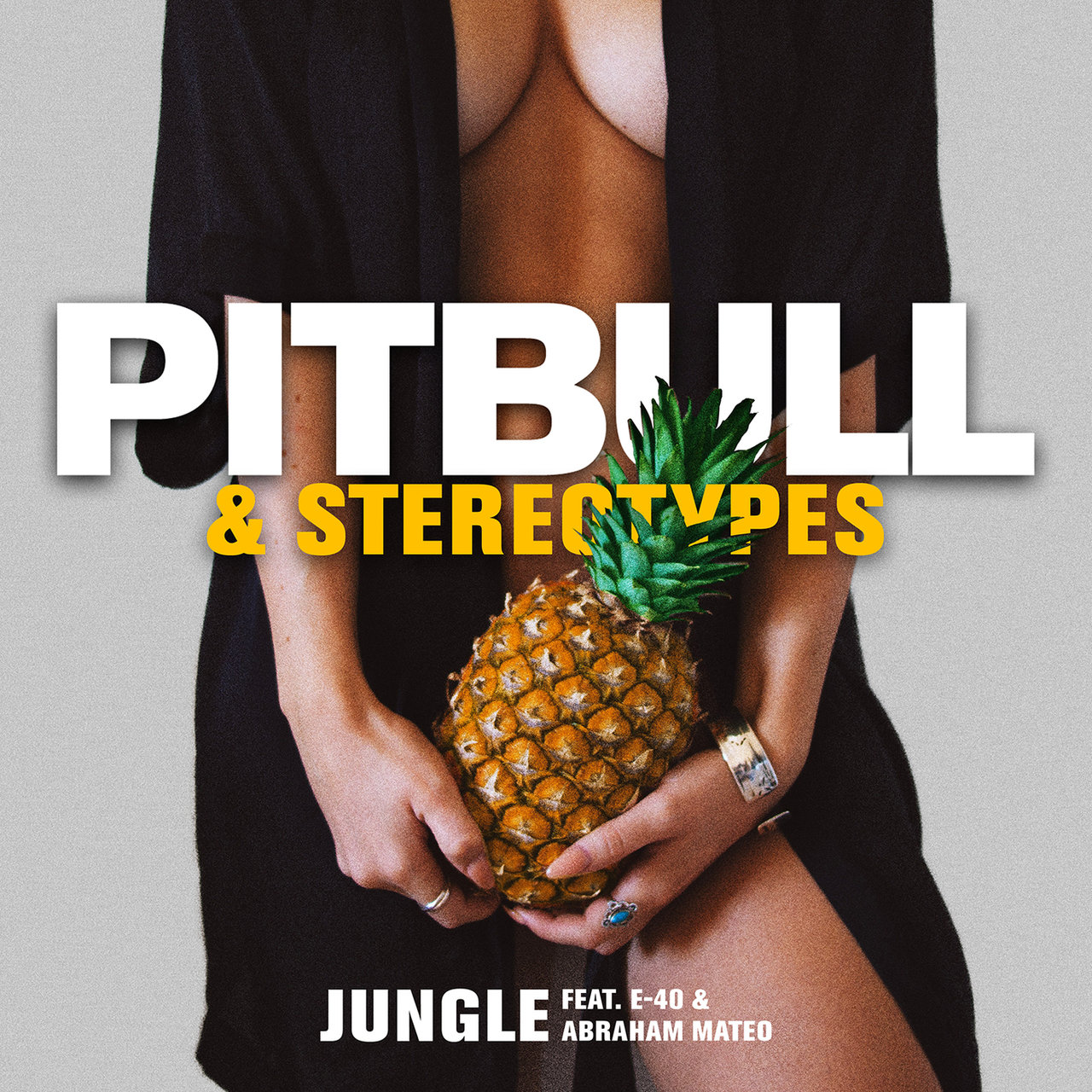 Pitbull & Stereotypes featuring E-40 & Abraham Mateo — Jungle cover artwork