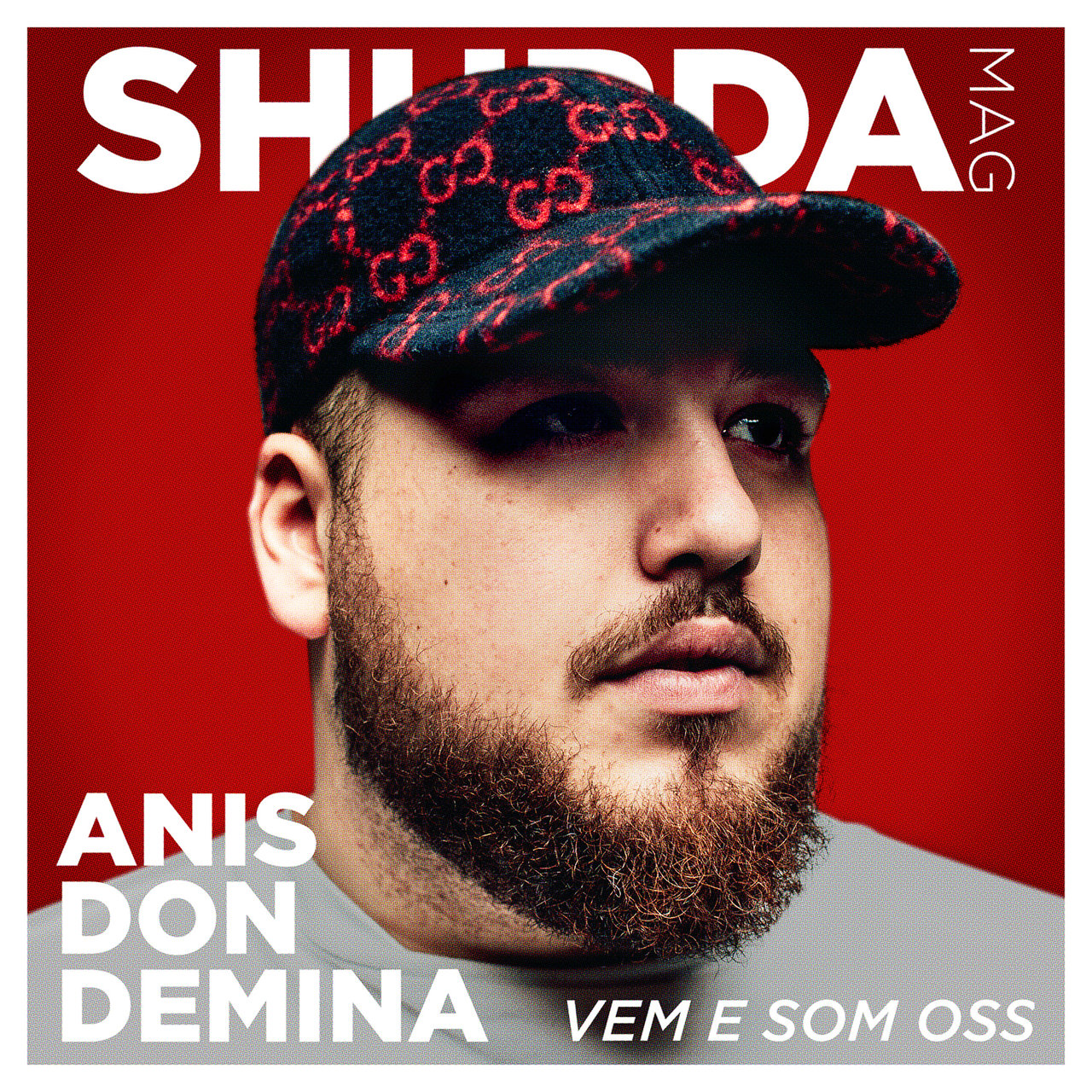 Anis Don Demina — Vem e som oss cover artwork