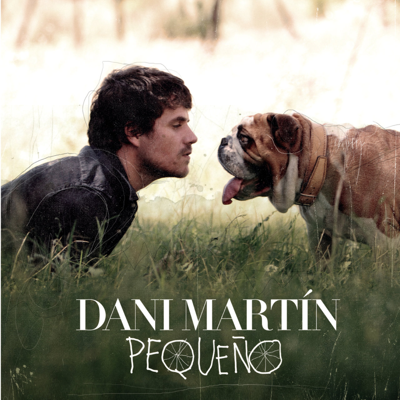 Dani Martín — Mira La Vida cover artwork