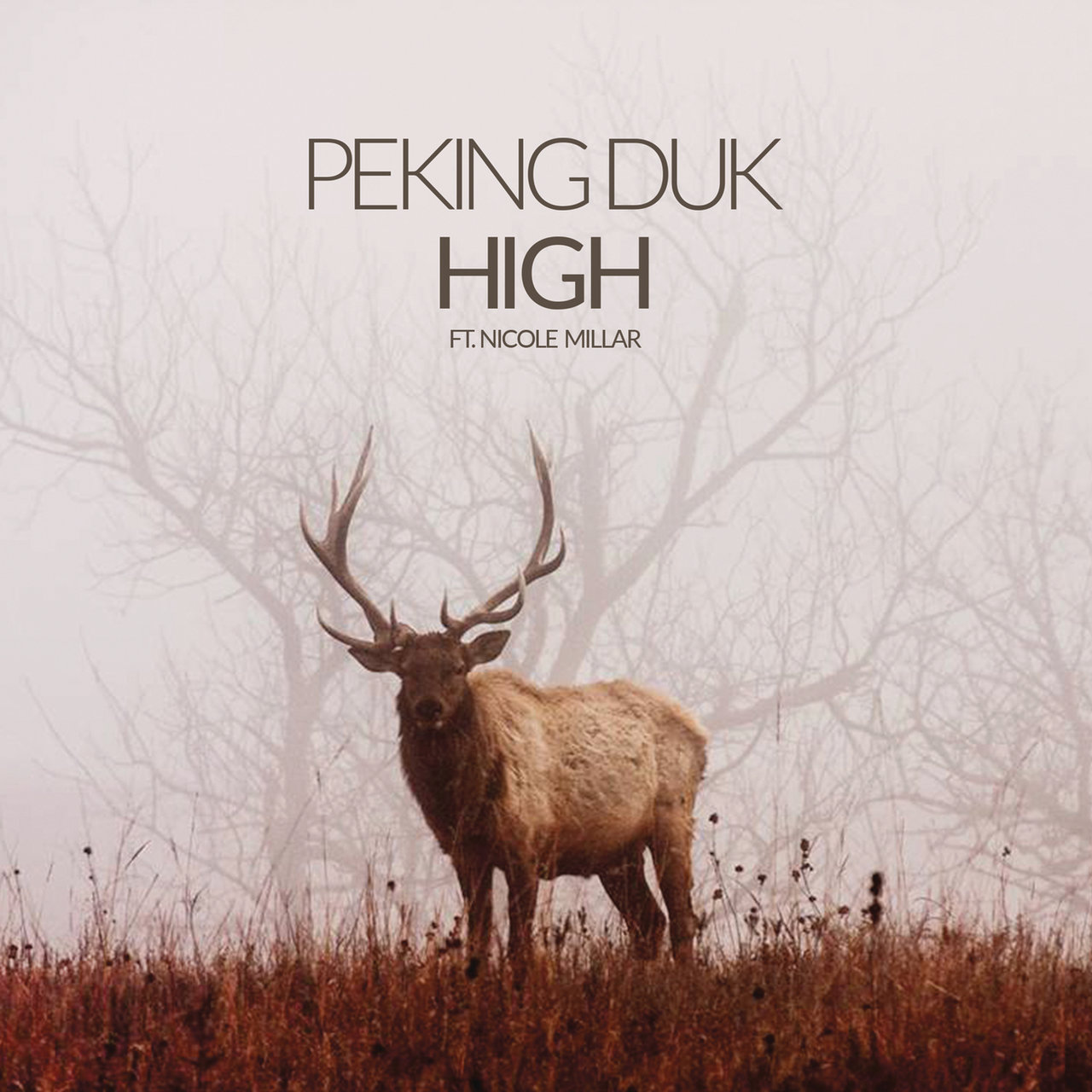 Peking Duk featuring Nicole Millar — High cover artwork