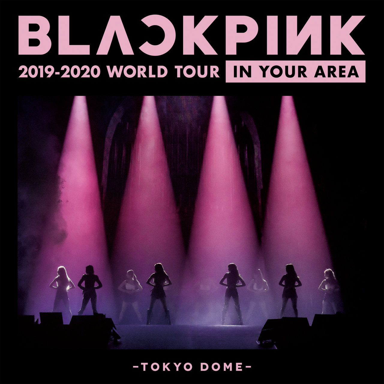 BLACKPINK — DDU-DU DDU-DU - JP Ver./ BLACKPINK 2019-2020 WORLD TOUR IN YOUR AREA -TOKYO DOME- cover artwork