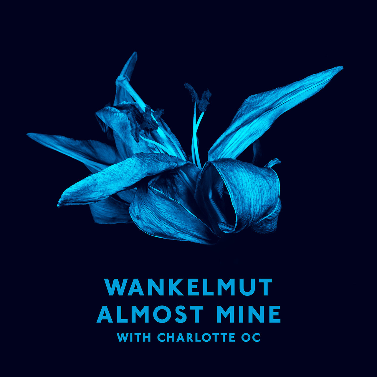 Wankelmut featuring Charlotte OC — Almost Mine cover artwork